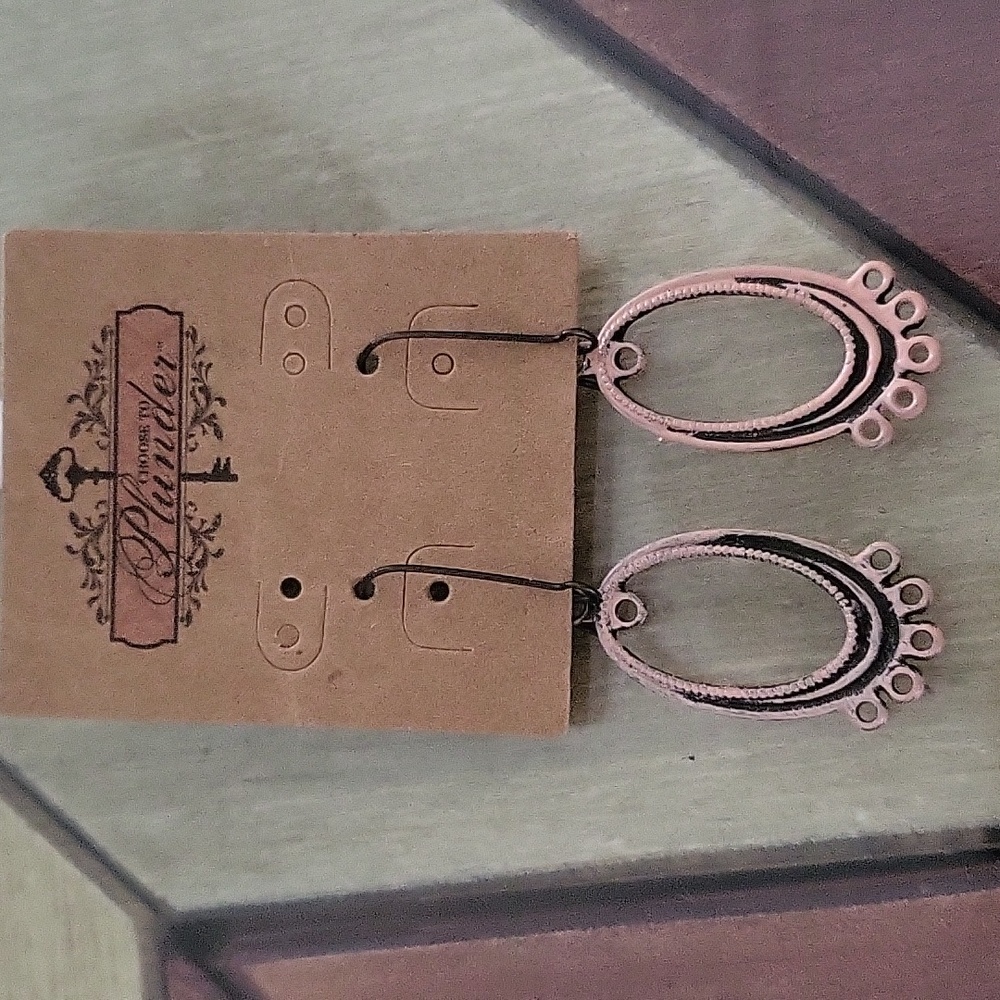 Nwt plunder earrings